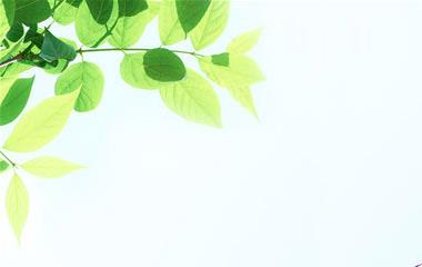 相亲第一次碰头去哪里好,共享这些地址给你