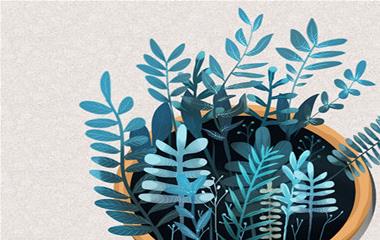 离婚丧偶征婚应该留意些什么？