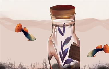 创业者必看的创业成功秘籍