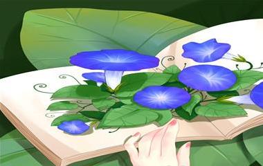 夫妻调情办法有？