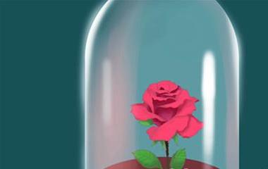 关于婚姻的10个甜美幻觉