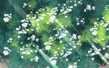 一句话爱情说说：关于爱情的语句有哪些