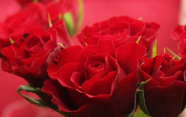 2月14情人节的由来