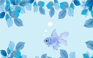 老公越轨和洽后老是吵架怎么办