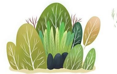 温暖心灵的情感美文 读起来让人落泪