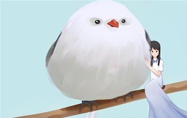 拯救婚姻的理由是……