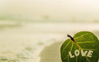 女生所谓的浪漫是什么,女性的浪漫有那些