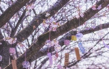 成婚半年老公越轨怎么办,老公在外面越轨怎么办