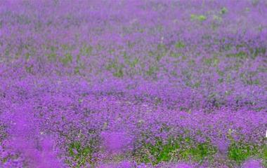 女生不想和你谈天怎样拯救,五个办法让她心回意转