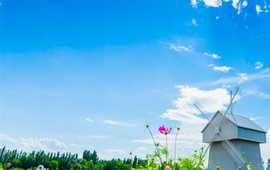 女性说谢谢高情商回复,男同胞必备这些高情商话术