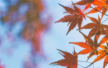 老公越轨承认了我应该怎么办,试试这些办法