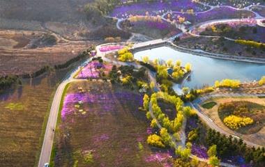 老公越轨脱离家住外面了怎么办