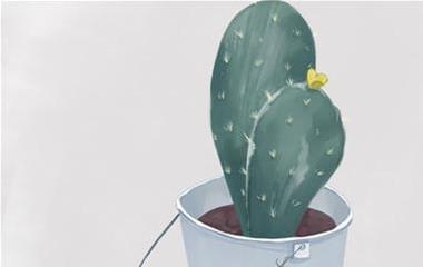 婚后老公花心改不了怎样办？