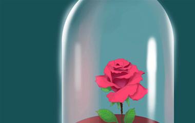 夫妻感情呈现危机后妻子怎样拯救？