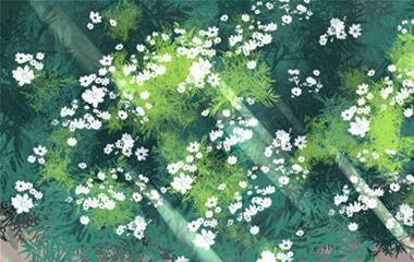 情感,谁与爱情不相逢