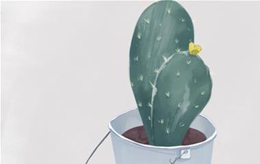 爱情线,离婚那一刻