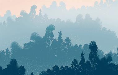 女子遇见老公越轨,易解咨询投诉怎么办？