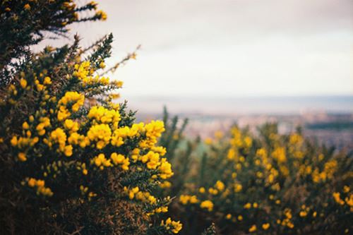 苏珊米勒2016年9月运势详解完整版