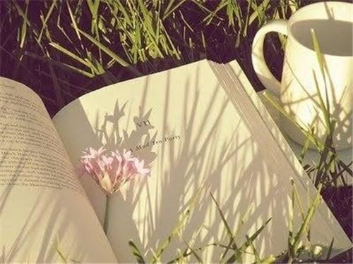 水逆期间不要做的事2