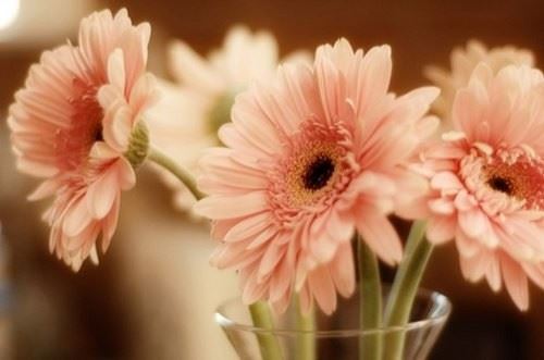 水逆期间不要做的事3