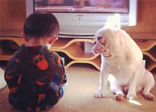 怎么协助12星座的郁闷患者2