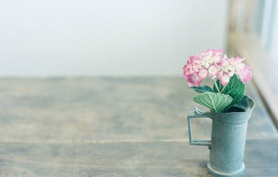  唐立淇2016年10月十二星座运势详解完整版