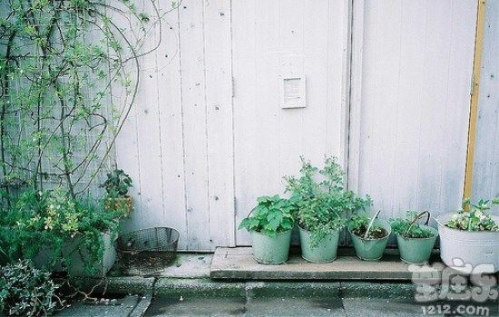 闹闹女巫店一周星座运势(10.31-11.6)