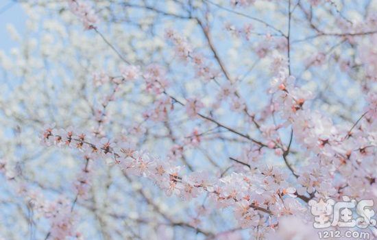 2017年元旦十二星座新年期望攻略2