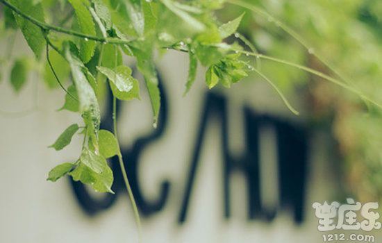 2017年元旦十二星座新年期望攻略3