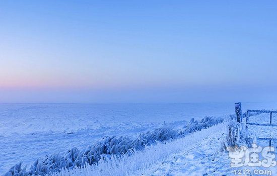 闹闹女巫店2017年2月十二星座运势详解完整版