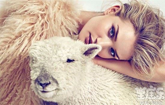 十二星座最败家的是谁3