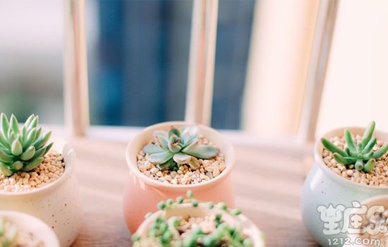 十二星座男谁最受女生欢迎？3