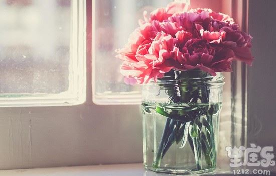 爱情中对恋人不离不弃生死相依的星座1