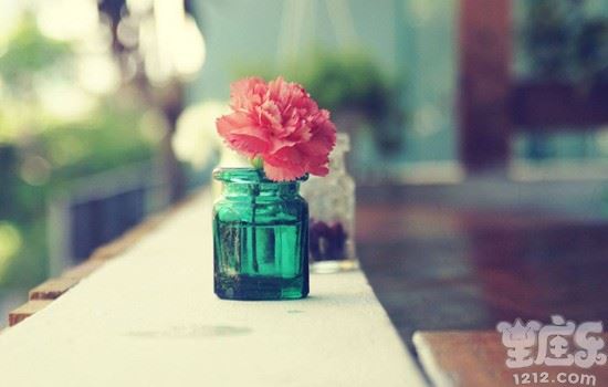 爱情中对恋人不离不弃生死相依的星座2