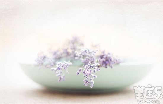 爱情中对恋人不离不弃生死相依的星座3