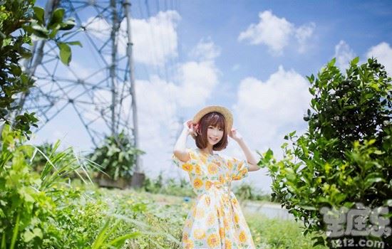 十二星座中谁最简单秃头2