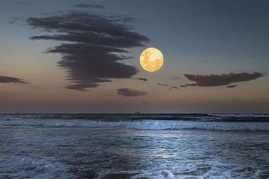 TIM星座一周运势 6.23-6.29